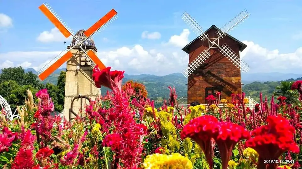 Sirao Flower Garden in Cebu by RON The Go Tours and Services