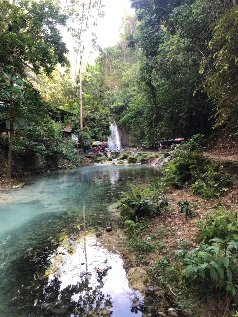 Explore and Tour Kawasan Falls Cebu with Ron the Go